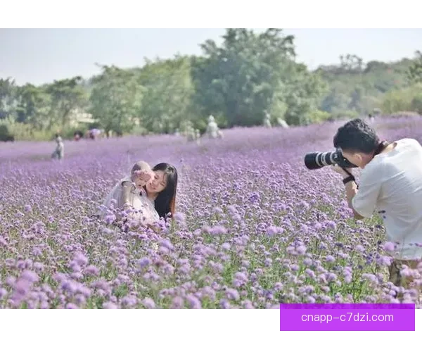 紫百合公园停摆众人悼念科米索 紫百合公园停摆众人悼念科米索