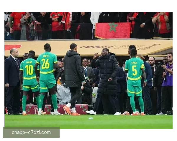 非洲杯扩军退赛牵动修规风波